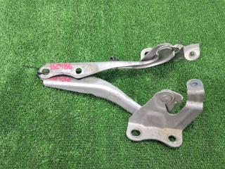Петля капота Toyota Corolla Fielder NZE141G. NZE144G. ZRE142 1NZ-FE 2ZR-FE 2007-2012
