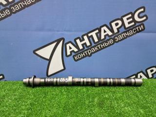 Распредвал Honda Accord CL7.CM2 K20A