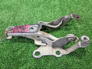 Петля капота Toyota Corolla Fielder NZE121. NZE124. ZZE122. ZZE124. NZE121G. ZZE122G 1NZ-FE. 1ZZ-FE 2000 (б/у)